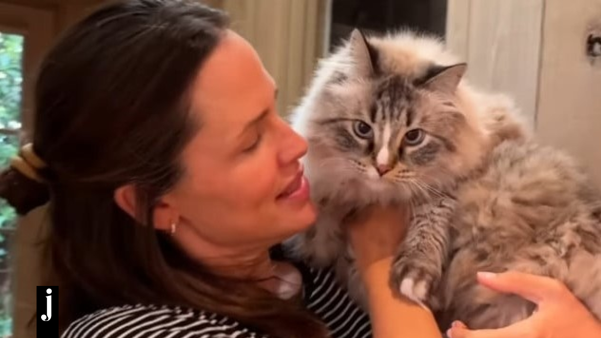 Το Viral video της ημέρας Η Τζένιφερ Γκάρνερ ξεναγεί τον γάτο της σε